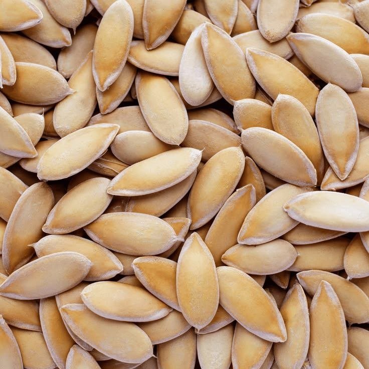 KHAKRI SEED