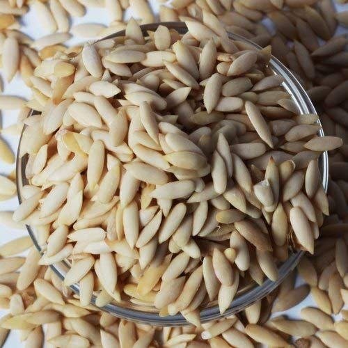 KHARBUJA SEEDS